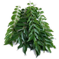 CURRY LEAVES LARGE PKT