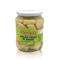 BREADFRUIT IN BRINE 560G - DERANA