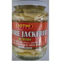 MATURE JACKFRUIT 560G - JOTHI