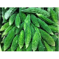 BITTER GOURD 500G APRX