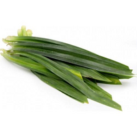 PANDOM LEAVES BUNCH