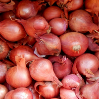 RED SHALLOTS 200G