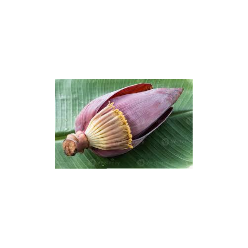 banana blossom 1.25kg